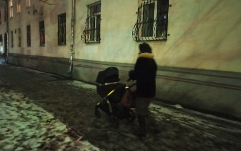 В России мамам предложили платить зарплату