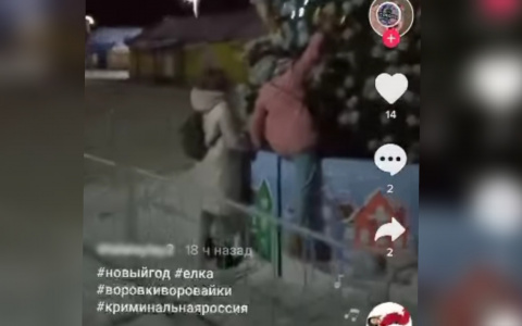 В Ярославле подростки ограбили главную елку и сняли на видео