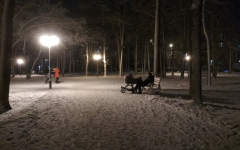 Перечислят автоматом: принцип новогодних выплат семьям с детьми объяснили в ПФР