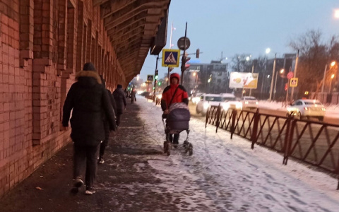 Ярославским детсадовцам дарят деньги на Новый год: как получить