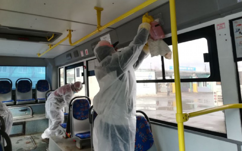 Игла в яйце: слабое место коронавируса отыскали ученые