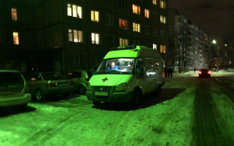 Умер моментально: под Ярославлем мужчину убило дерево