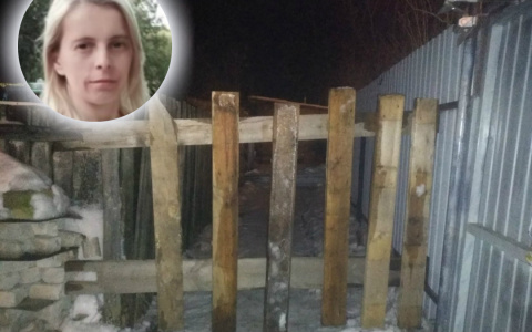 "Выломали забор": в Ярославле соседи ведут войну за землю