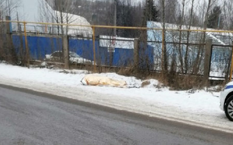 Это не ДТП: в Ярославле у дороги нашли труп мужчины
