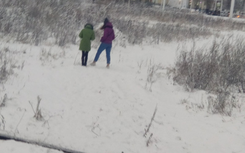 "Выскакивает из кустов": об извращенце возле школы сообщают жители Заволжского района