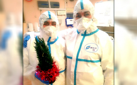 Нестандартные методы лечения ковида в Ярославле: зачем больным в палатах деревья