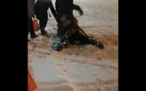 "Порезали всё лицо": ярославец напал с пилой на людей на остановке