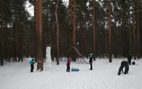 Начались судороги: девочка впала в кому после катания на ватрушке