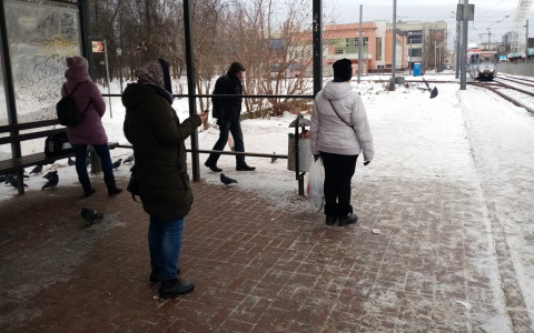 В Ярославле в январе изменятся маршруты общественного транспорта