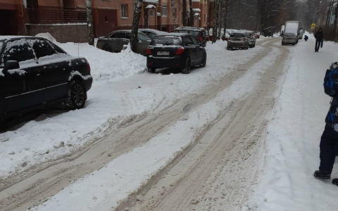 «Нужно, чтобы кто-то умер?»: ярославцы массово жалуются на снег на дорогах