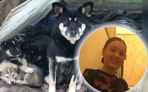 «Зарублю лопатой»: в Ярославле живодёры отравили щенят