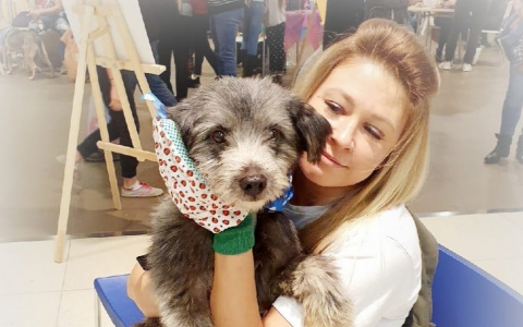 Это отравление: погибшую зоозащитницу из Ярославля отправят в Крым самолетом