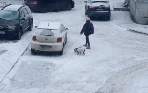 Когда не заведется авто: назвали самые морозные дни в Ярославле