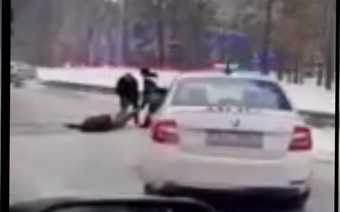 Врезался в фуру, выбежал из авто и умер под колесами: жуткое ДТП под Ярославлем