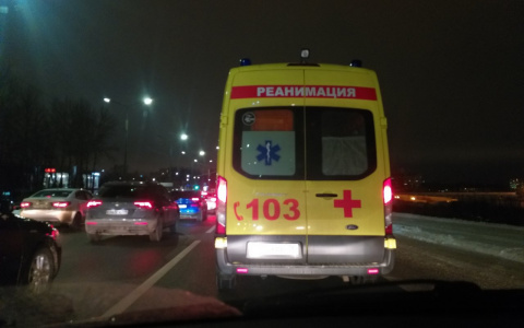 Ребенок обмяк, словно тряпка: бешеный алабай напал на 12-летнюю девочку