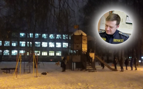 Арестовали многодетную мать из Ярославля: в чём причина