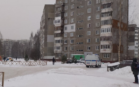 Полицейские с собаками перекрыли детскую площадку: что произошло за Волгой