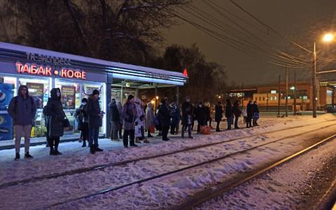 Дольше, чем думали: сколько длится иммунитет после ковида