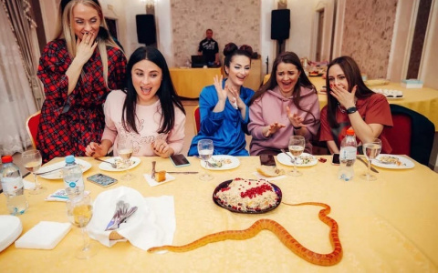 На "Миссис Ярославль" красавиц разбавили змеями