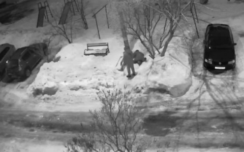 Лицом старушку в снег: инцидент с применением грубой силы попал на видео