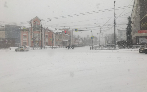 Возвращается зима: ярославцев снова настигнет обильный снегопад