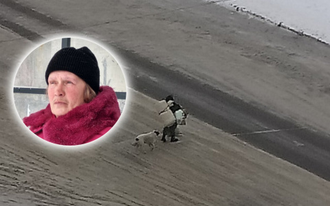 «Собаки воют навзрыд»: ярославские Хатико страдают по спасенной бездомной подруге