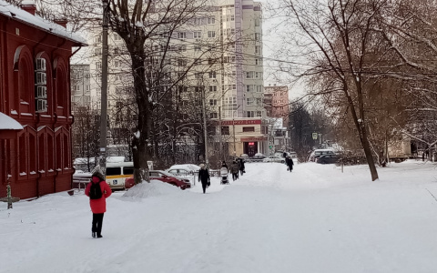 День, когда придет тепло, назвали синоптики