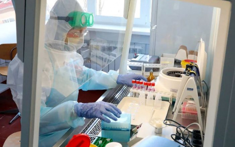 Новые смерти ярославцев от ковида: лабораторных исследований делают меньше