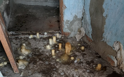 "Подъездный апокалипсис": самый страшный дом нашли в Ярославской области