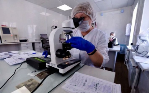 Предрекли новый вирус страшнее ковид: чего опасаться