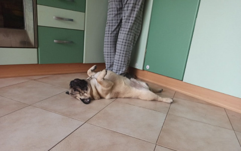 Больные ковидом видят сны в формате 3D: какие