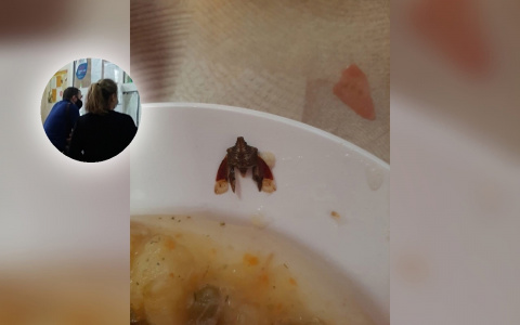 "Они были в ужасе": в ярославской больнице пациентам на обед принесли странное насекомое