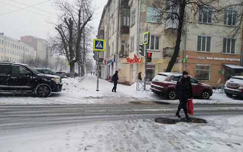 МЧС предупредили ярославцев о метели и сильном снегопаде: когда ожидать