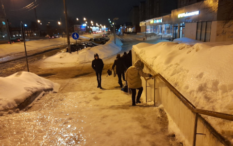 В центре Ярославля вырубили аллею: почему уничтожают деревья