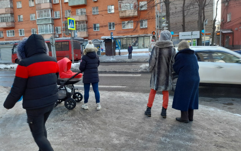 «Это была моя мечта»: ярославец  выкрал у незнакомца домашнего питомца