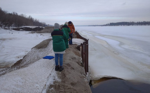 Это течет в краны: рядом с водозабором в Ярославле разлилось нефтяное пятно. Видео