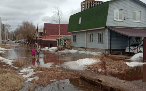"Залило дома, не выйти": жители Ярославля сообщают о потопе