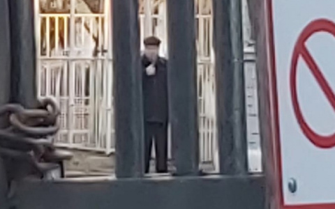 "Он жуткий и с бородавками": задержанный в Ярославле баянист-педофил работал в детсаду