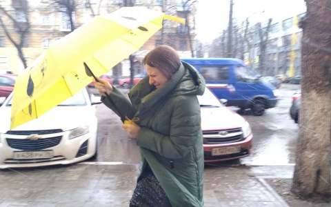 Сидите дома: о ЧС с ливнями в Ярославле предупреждает МЧС