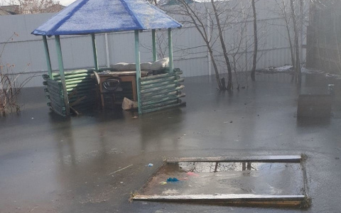 "Приедем, когда начнете тонуть": за Волгой затопило семь домов с детьми. Видео