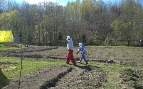 Россиян будут штрафовать за заборы на дачах