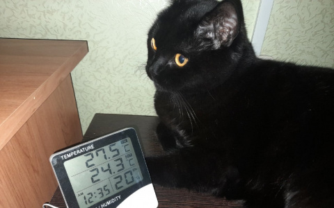 "27 градусов дома": рассказали, когда отключат отопление