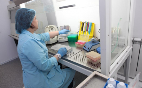 Клещи атакуют ярославцев: какой район энцефалитный