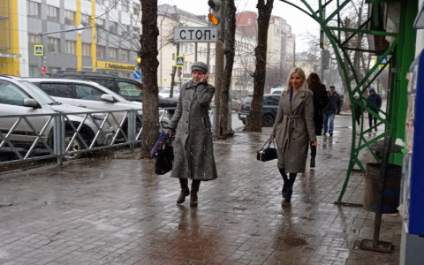 "Пойдет снег": в Ярославле обещают откат к зиме