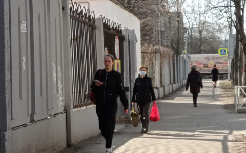 Торговые палатки вернутся в Ярославль: когда ждать