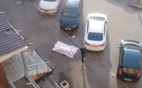 С 12 этажа отлетел на козырек: в Брагино насмерть разбился молодой мужчина
