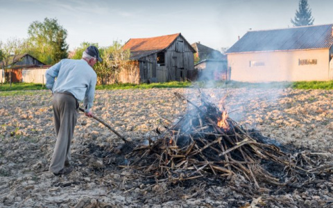 Ройте яму: за что дачники Ярославля рискуют получить штраф в этом сезоне