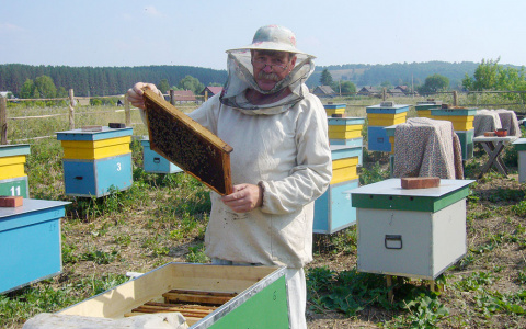 Новые возможности: предприятие «Кроношпан» запустило проект для развития и укрепления пчеловодства в Башкортостане
