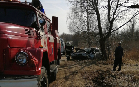 Скорая и покореженное авто: ярославна влетела в дерево