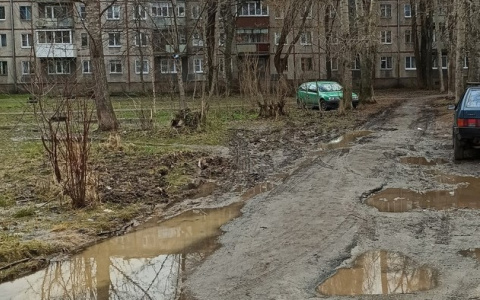 Передовичку нарисовали, а во дворе грязь: жители Брагино возмущаются в социальных сетях